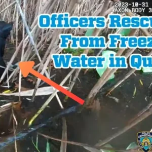 Watch Heroic NYPD Officers Rescue Blind Dog from Icy Waters