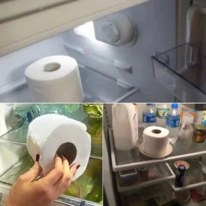 If You Find a Roll of Toilet Paper in Your Fridge, Here’s What It Means