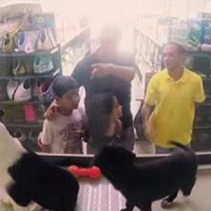 PET STORE REPLACED ALL OF ITS ANIMALS WITH RESCUES FOR JUST ONE DAY