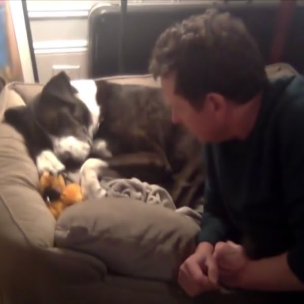 AFTER LOSING HIS BELOVED DOG MICHAEL J. FOX INTRODUCES NEW ‘BEST FRIEND’ TO THE WORLD