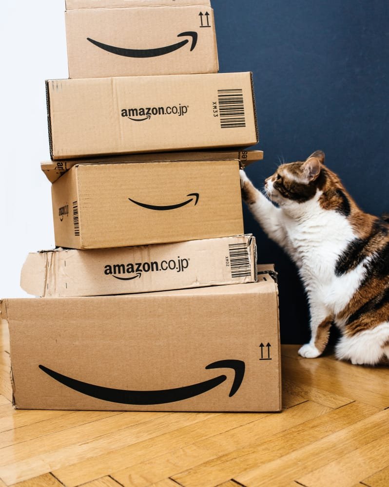 Cat sneaks into Amazon box, accidentally gets shipped 650 miles from home!