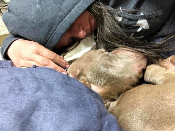 COLLEGE STUDENT HOLDS DYING SHELTER DOG IN HER ARMS ALL NIGHT SO HE WON’T PASS AWAY ALONE