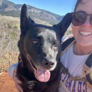 Dog steps up to protect his owner from venomous snake bite: “our beloved four-legged hero”