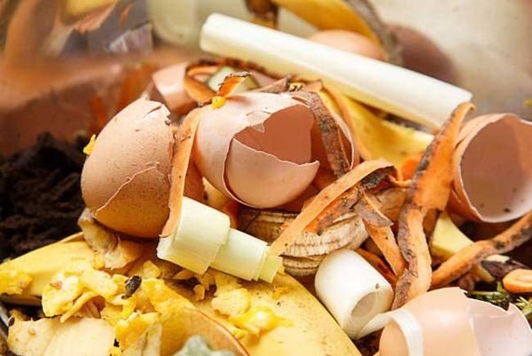 Don’t Toss Those Eggshells! Here’s Why You Should Keep Them