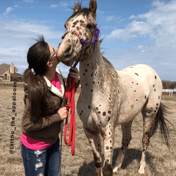 MEET TATTOO THE APPALOOSA, A HORSE WITH LEOPARD SPOTS AS COOL AS HIM