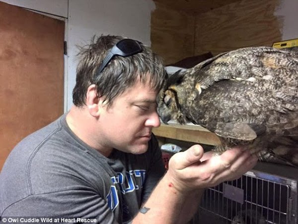 OWL GIVES THE BIGGEST HUG IMAGINABLE TO THE MAN WHO SAVED HER LIFE R