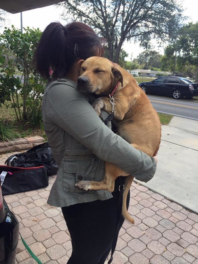 SCARED DOG RESCUED FROM A FIELD — 3 DAYS LATER, SHE’S STILL CLINGING TO RESCUERS