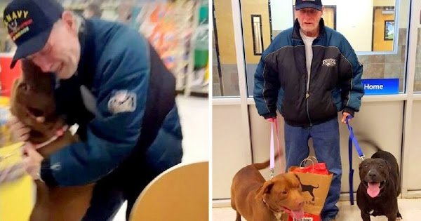 VETERAN TRIED SELLING HIS CAR TO BUY HIS DOGS BACK, BUT WOMAN MADE HIM CRY