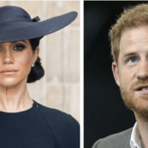 The Extraordinary Life of Meghan Markle and Prince Harry in California