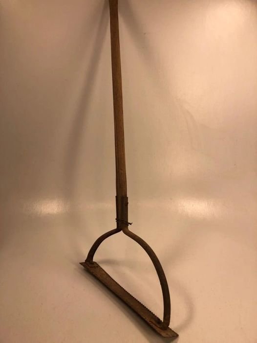 447693386 122145578318234729 8760241393401820918 N