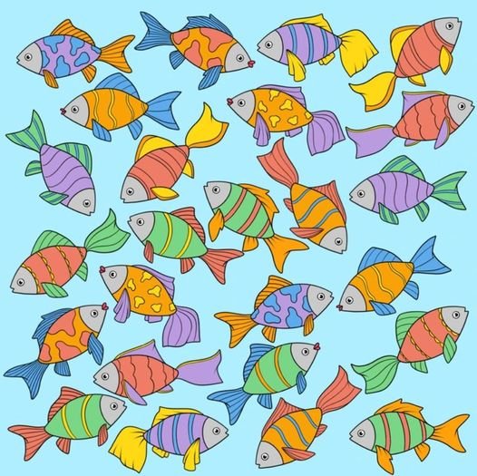 447752267 122145627950234729 6195066590887822488 N