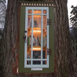 A Charming Trend: Free Libraries in the Neighborhood