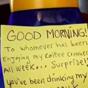 Dealing with an Office Creamer Thief