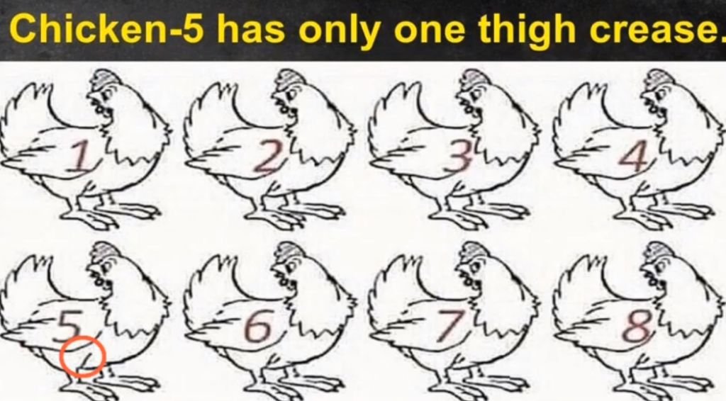 3 Result 13 2