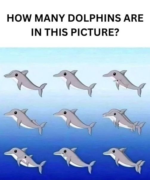 449298321 869688745182569 4143839455390171369 N