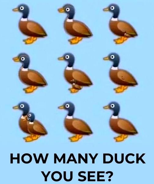 Can You Find All the Ducks?