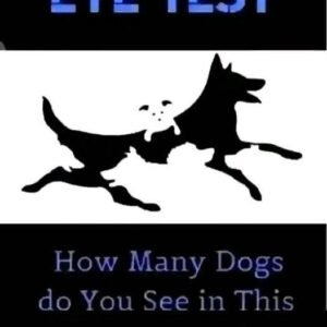 Taking Care of Your Vision: The Importance of Regular Eye Tests