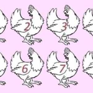 Test Your Skills: Can You Spot the Different Chicken?