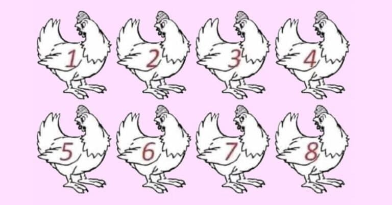 453008370 464108936452067 7525466617898023281 N