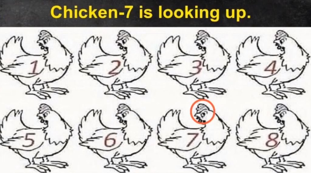 5 Result 13
