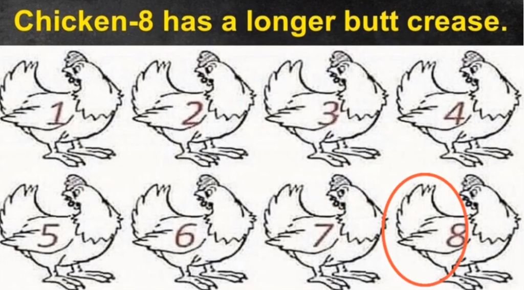 6 Result 13