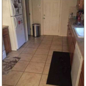 Can You Find the Hidden Dog in This Picture?