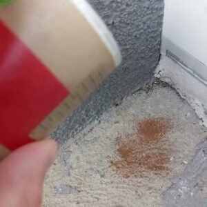 Spice Up Your Living Space with Cinnamon