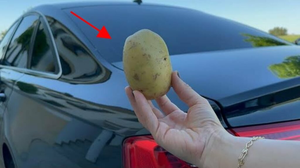 The Surprising Lifesaving Powers of Potatoes