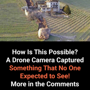 How Is This Possible? A Drone Camera Captured Something No One Expected to See!