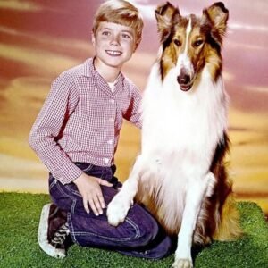 He Was Timmy on Lassie: The Remarkable Life and Career of Jon Provost. How does he look today?