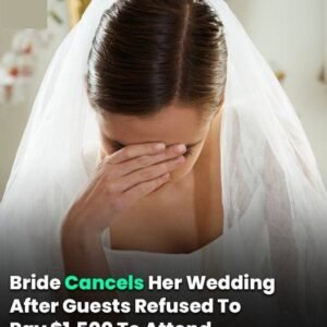 Bride Cancels Her Wedding After Guests Refused To Pay ,500 To Attend