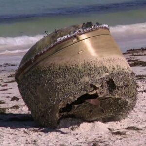 A Mysterious Box Washed Up on Shore—What Was Inside Left Everyone Speechless!