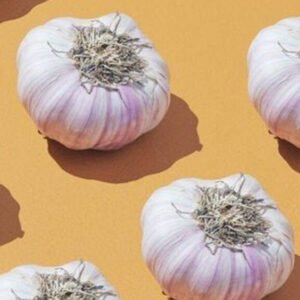11 Secrets You Dont Know About Garlic 1 1024x576