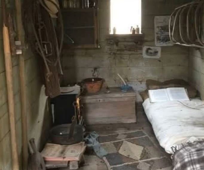 This Humble Cabin, My Grandparents’ Sole Bequest, Enriched Me Beyond Measure