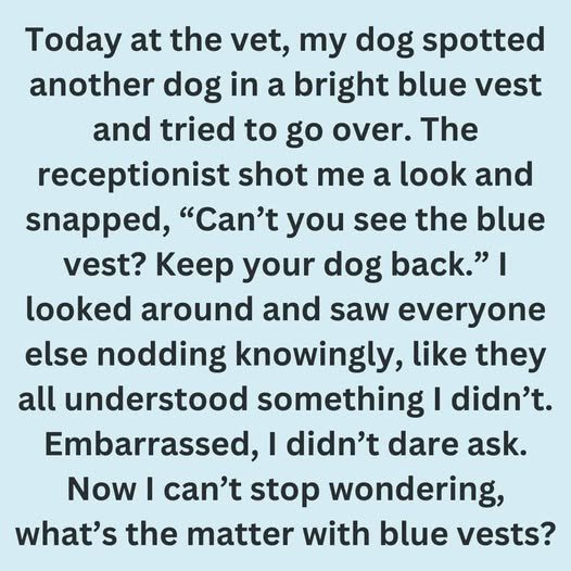 Blue Vest, Leash, or Bandana: What Your Dog Is Telling You