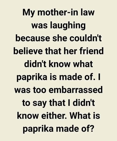 The Secret My Mother-in-Law Revealed with Just One Laugh