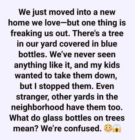 What We Discovered About the Glass Bottle Trees in Our Neighborhood