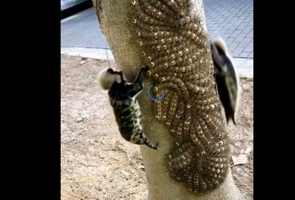 When a Tree Reminded Me of Life’s Fragility