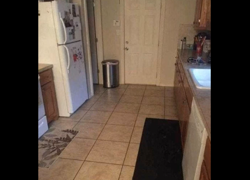 Look Closely: There’s a Dog Hidden in This Kitchen Scene