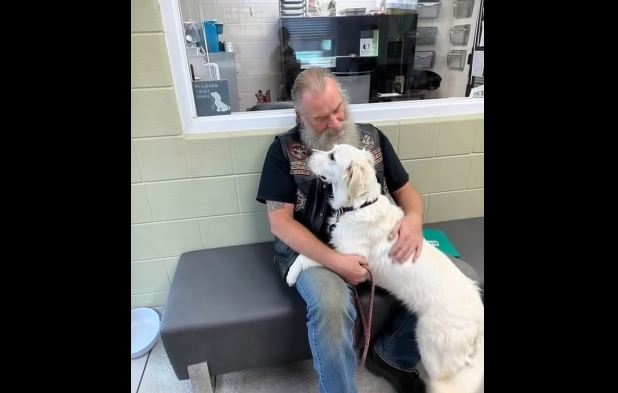 Biker Discovers Dog on Bridge Alongside a Touching Letter