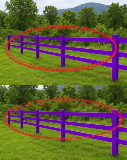 If You Spot a Painted Purple Fenc