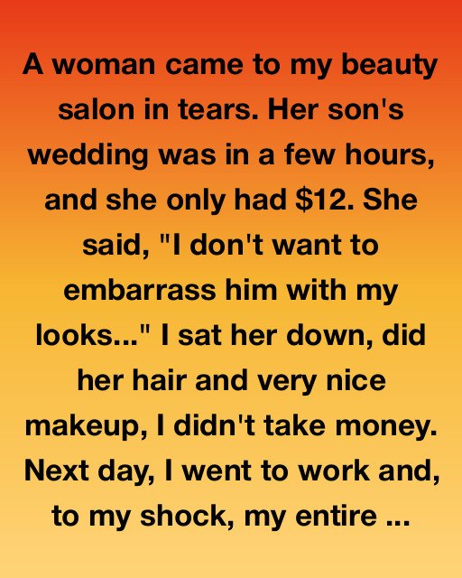 She Walked Into My Salon With $12 — What Happened Next Changed My Life Forever