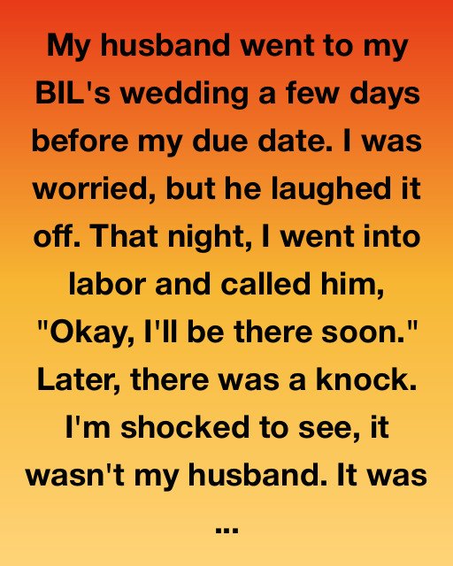 557446868 122160884942798833 8785251991388013217 n