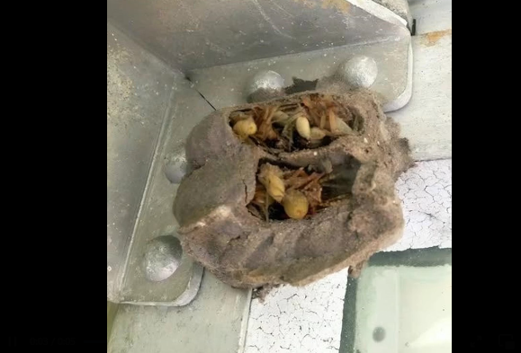 I went into the garage just to grab an old toolbox!