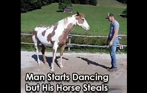 Man Starts Dancing—But His Horse Becomes the Star of the Show