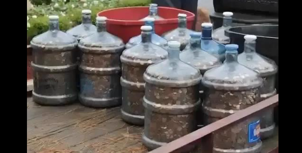 Man Collects Pennies for 45 Years — What He Did Next Will Inspire You