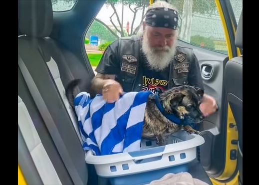 The Day a Tough Biker Showed Me the True Meaning of Kindness