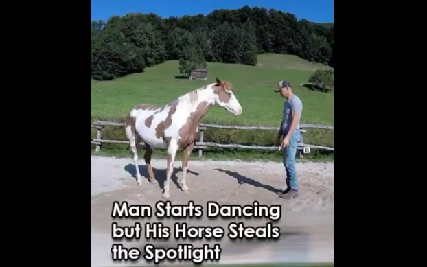 The Man Thought He Was Performing — Until His Horse Took Over