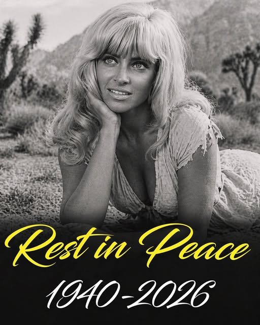 40f6a5a4 ace8 4435 ac74 24d633eee9cd