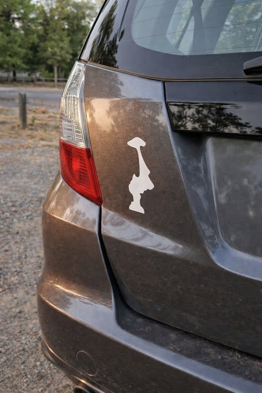 40f6a5a4 ace8 4435 ac74 24d633eee9cd